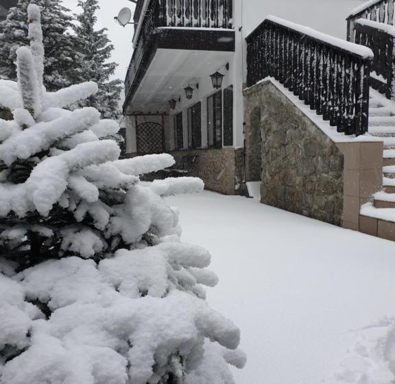 ベッドアンドブレックファースト Willa Gencjana