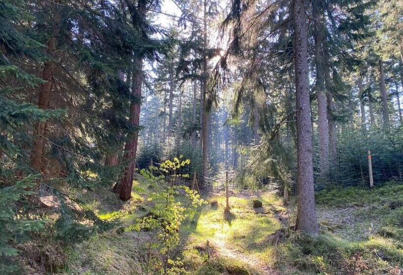 ベッドアンドブレックファースト Willa Gencjana