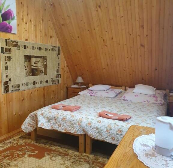 Bed and Breakfast Willa Irys