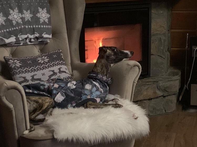 민박 Willa Karkonoska