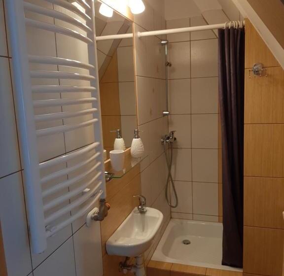 住宿加早餐  Willa Tomida