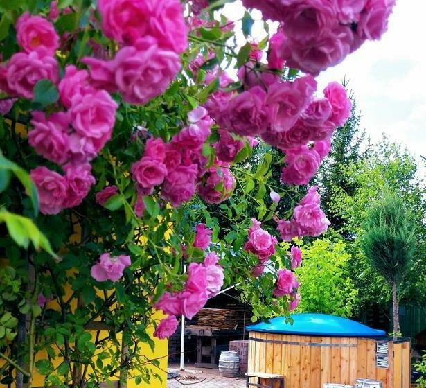 ベッドアンドブレックファースト Willa Zamkowisko