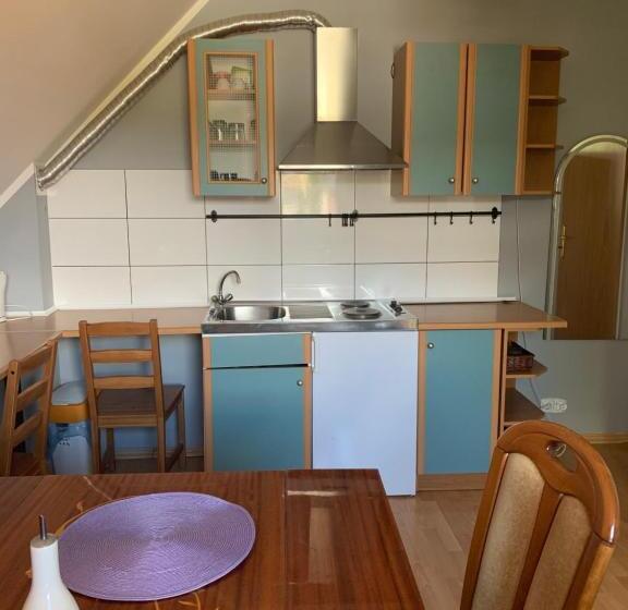 בית מלון כפרי Agro Szyszynka