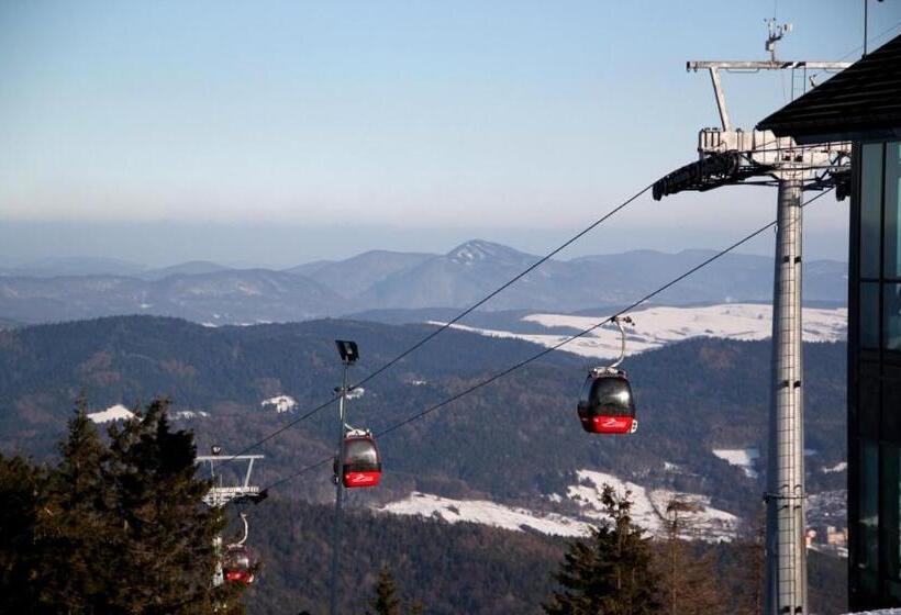 Отель Agroturystyka Elżbieta I Juliusz