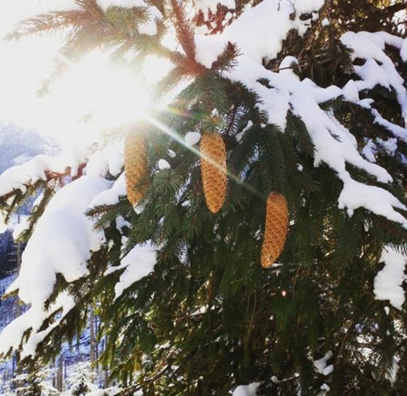 Отель Agroturystyka Elżbieta I Juliusz