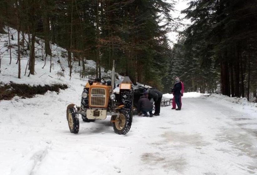 Отель Agroturystyka Elżbieta I Juliusz