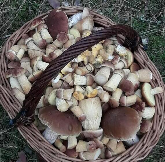 酒店 Agroturystyka Gawryś Pokoje