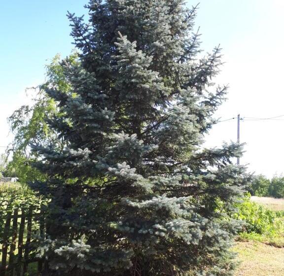 בית מלון כפרי Agroturystyka Jagap Oaza Spokoju