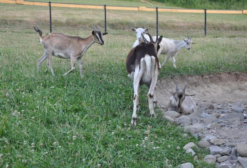 ホテル Agroturystyka Królowo