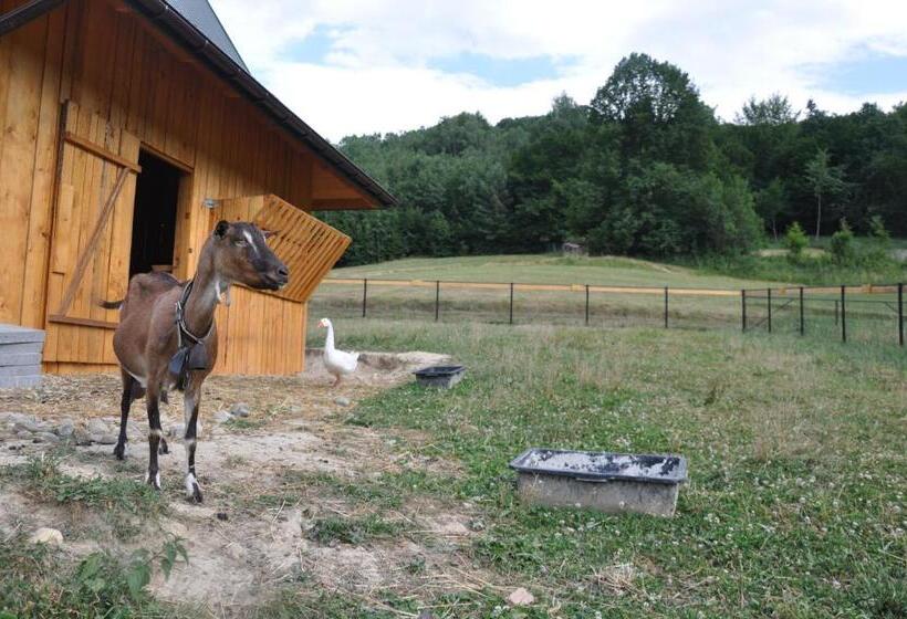 ホテル Agroturystyka Królowo