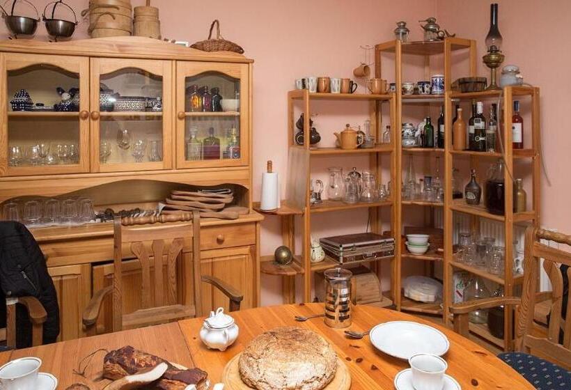 Отель Ekoturystyka Natura Gwiazd   Green Velo   Workation Park   Ziołowy Klimat Bieszczad