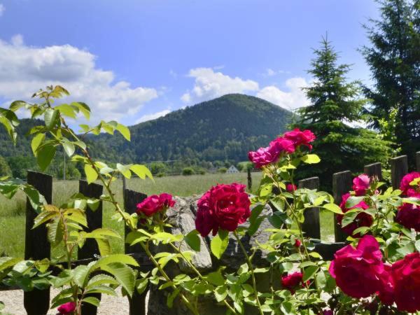 فندق Agroturystyka Pod śnieżną