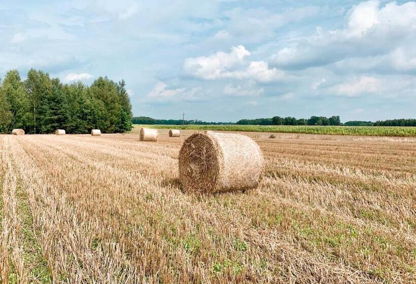 فندق Agroturystyka Sielanka