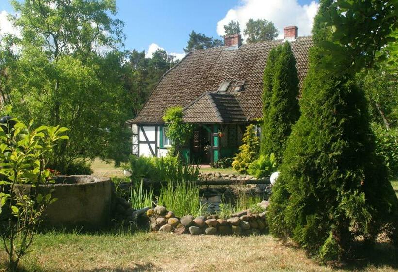 Отель Agroturystyka Stajnia Horyzont