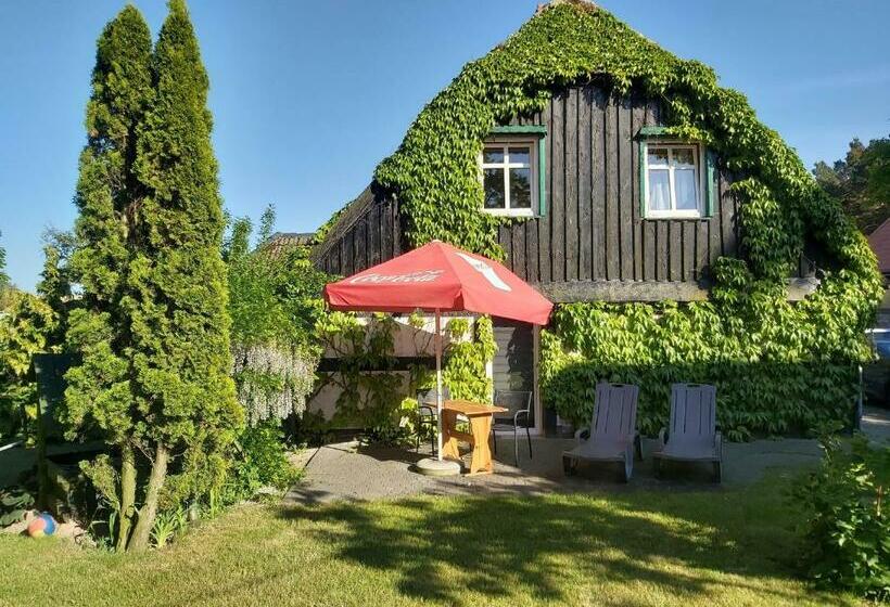 בית מלון כפרי Agroturystyka Stajnia Horyzont