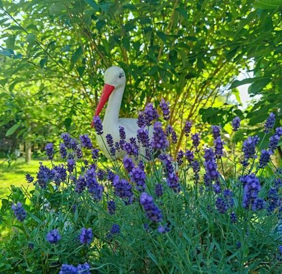 호텔 Agroturystyka U Strażaka