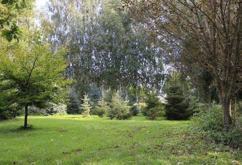 Отель Agroturystyka żuławiaczek