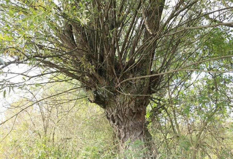 Отель Agroturystyka żuławiaczek