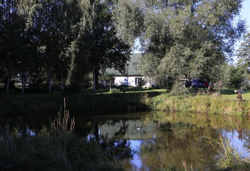 Отель Agroturystyka żuławiaczek