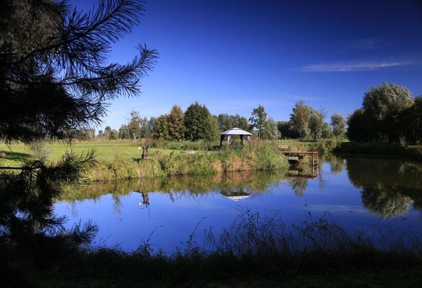 Отель Agroturystyka żuławiaczek