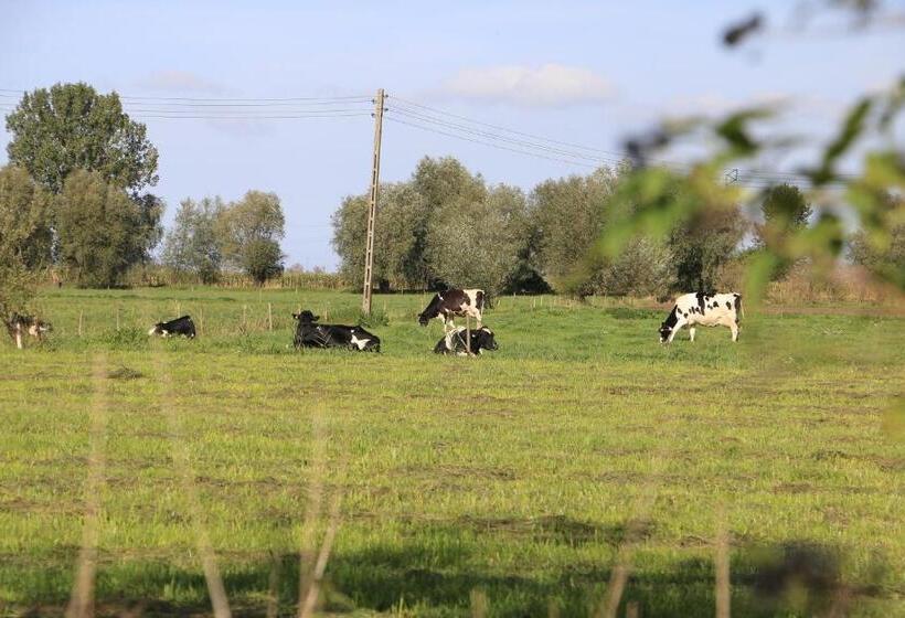 Отель Agroturystyka żuławiaczek