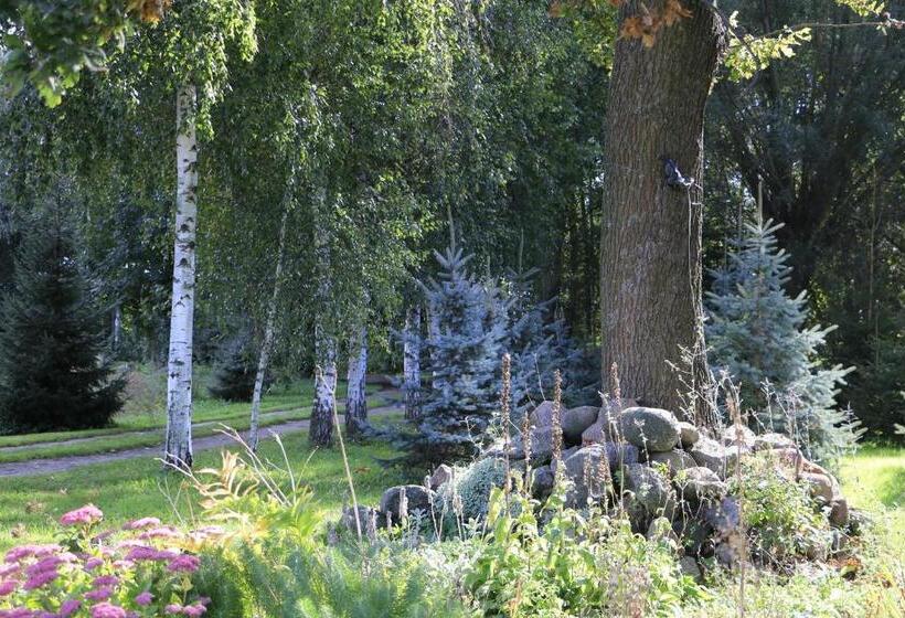 Отель Agroturystyka żuławiaczek