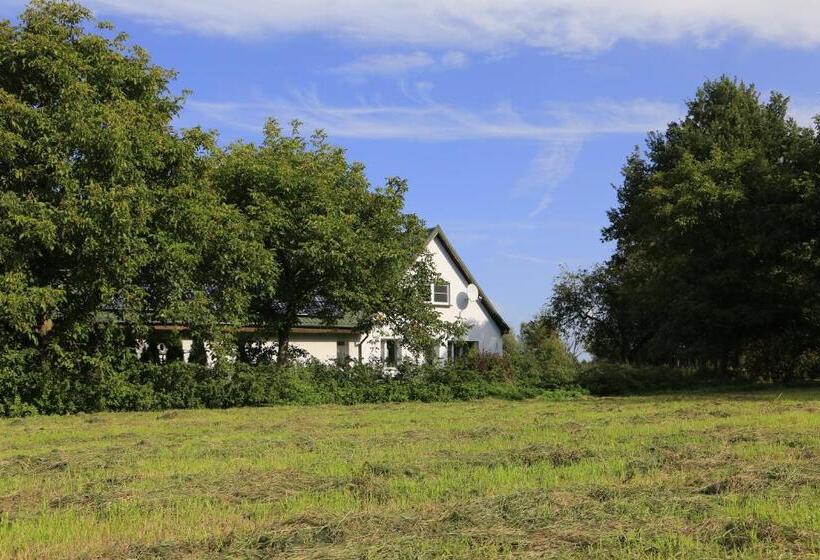 Отель Agroturystyka żuławiaczek