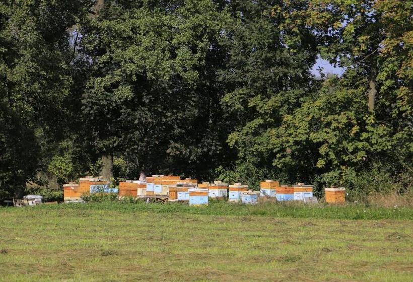 Отель Agroturystyka żuławiaczek