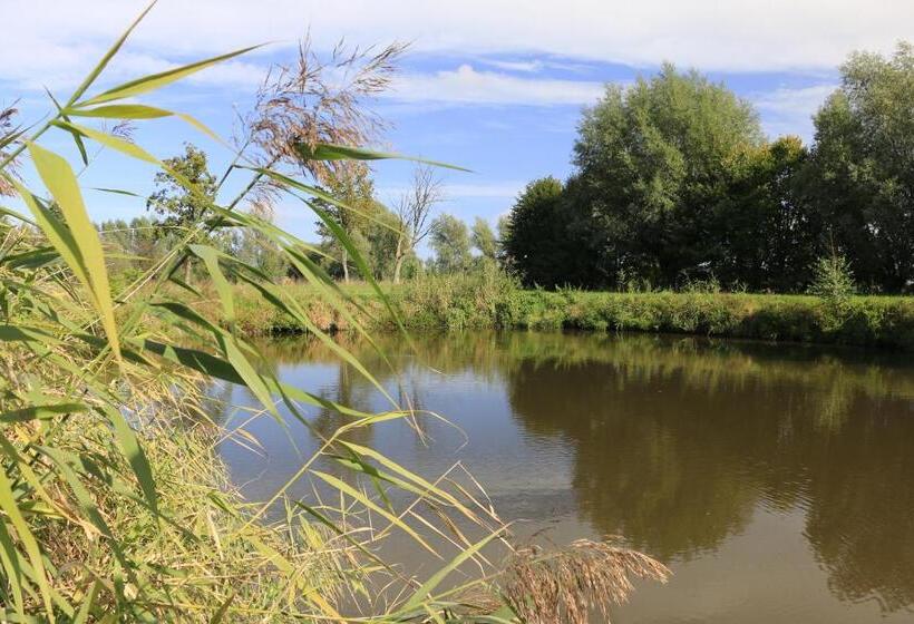 Отель Agroturystyka żuławiaczek