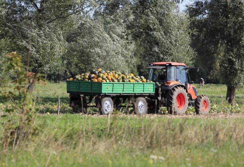 Отель Agroturystyka żuławiaczek