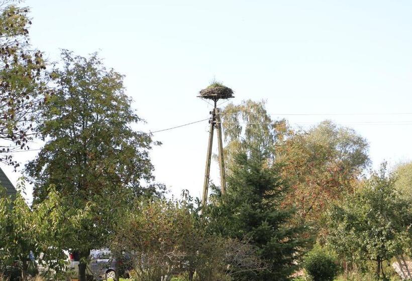Отель Agroturystyka żuławiaczek