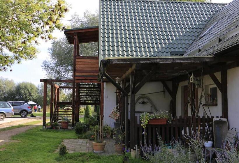 Отель Agroturystyka żuławiaczek