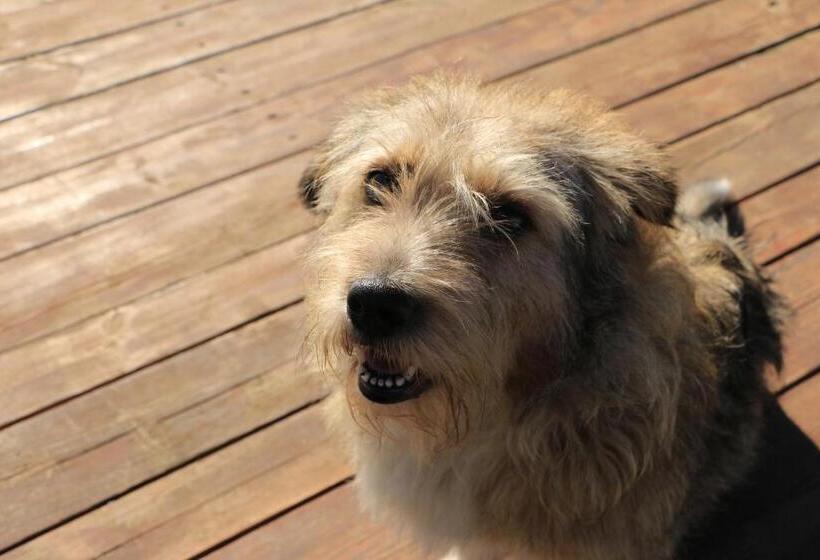 Отель Agroturystyka żuławiaczek