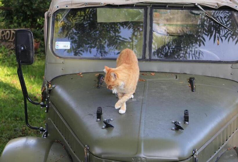 Отель Agroturystyka żuławiaczek