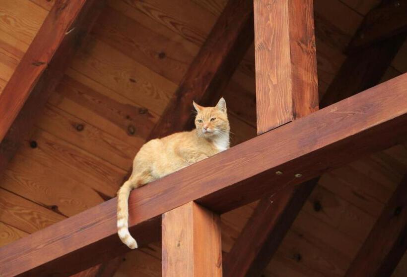 Отель Agroturystyka żuławiaczek