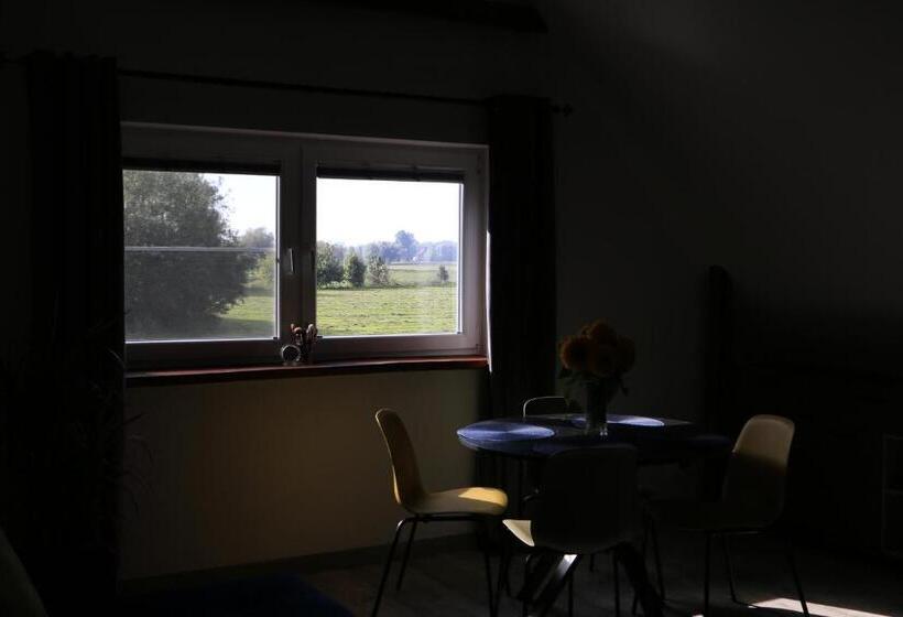 Отель Agroturystyka żuławiaczek