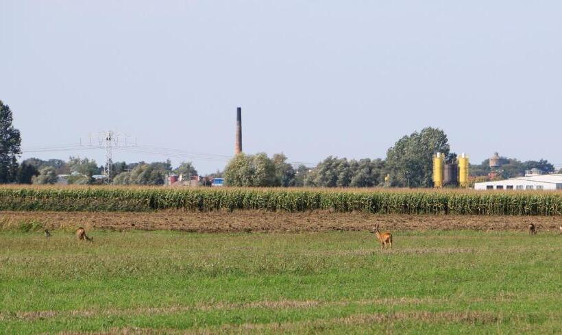 Отель Agroturystyka żuławiaczek