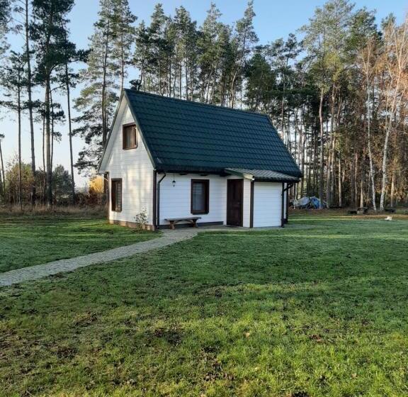 ホテル Agroturystyka żubr