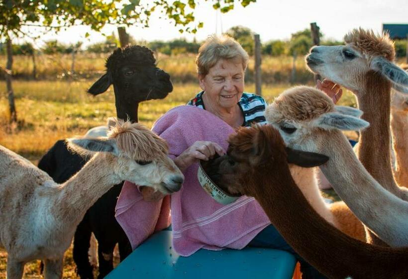 هتل Alpaka Ranczo Aff