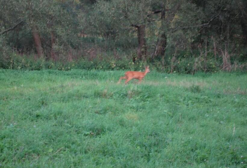 فندق Chata Pod Kamieniem