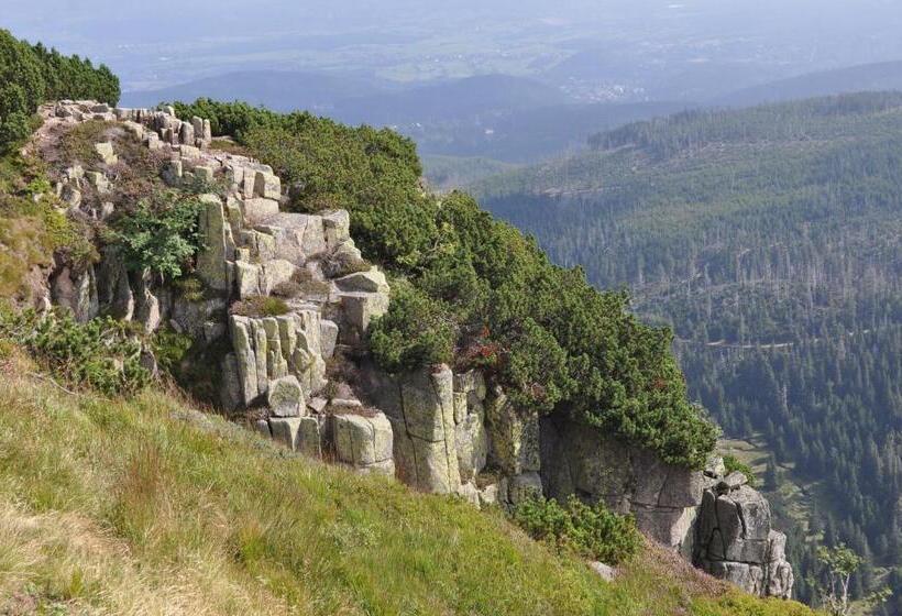 Отель Czarnotka