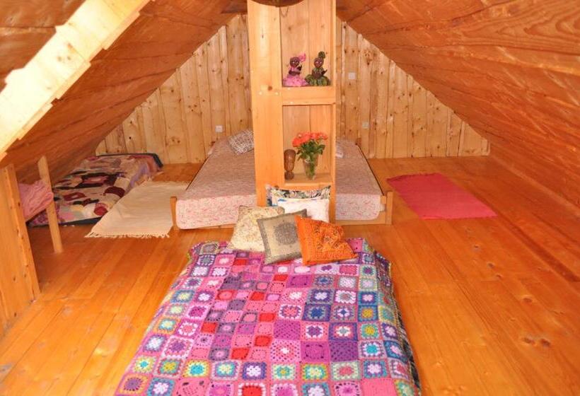 Отель Czarnotka