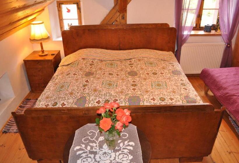 Отель Czarnotka