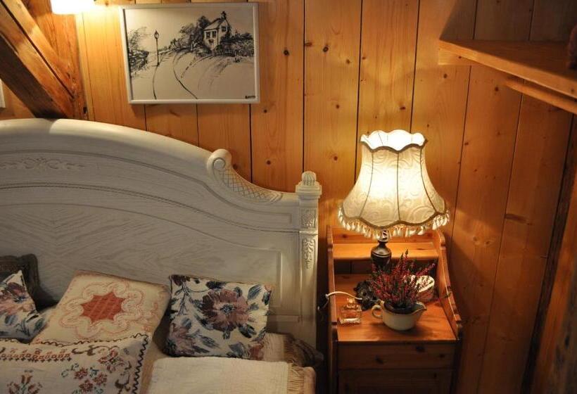 Отель Czarnotka