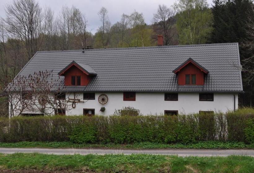 Отель Czarnotka