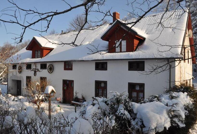 Отель Czarnotka