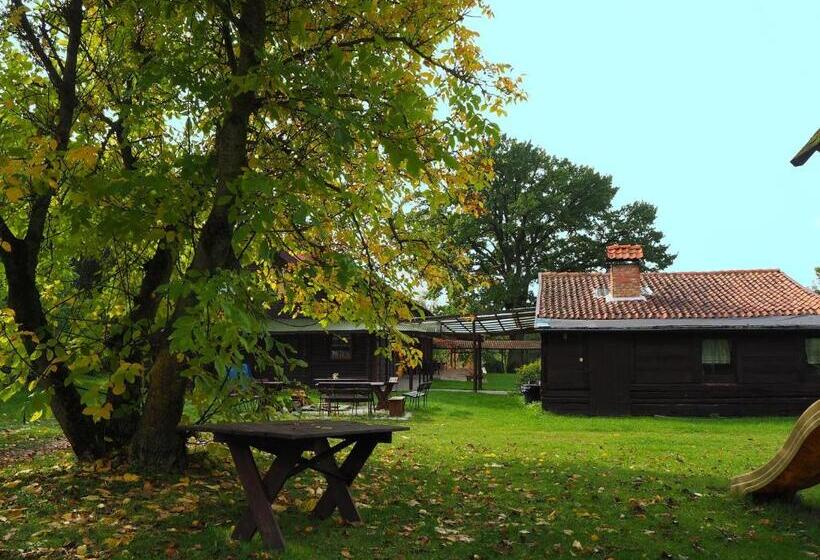 酒店 Dom Gościnny Bogdany