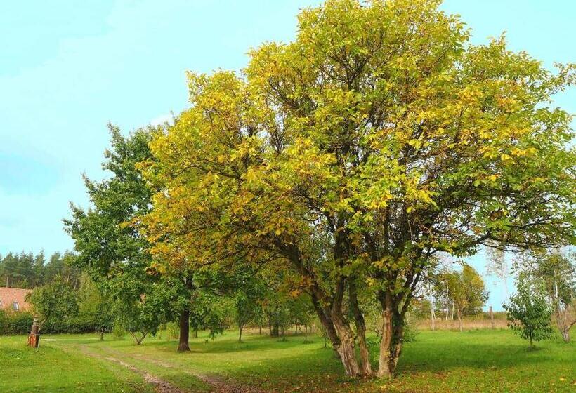 酒店 Dom Gościnny Bogdany