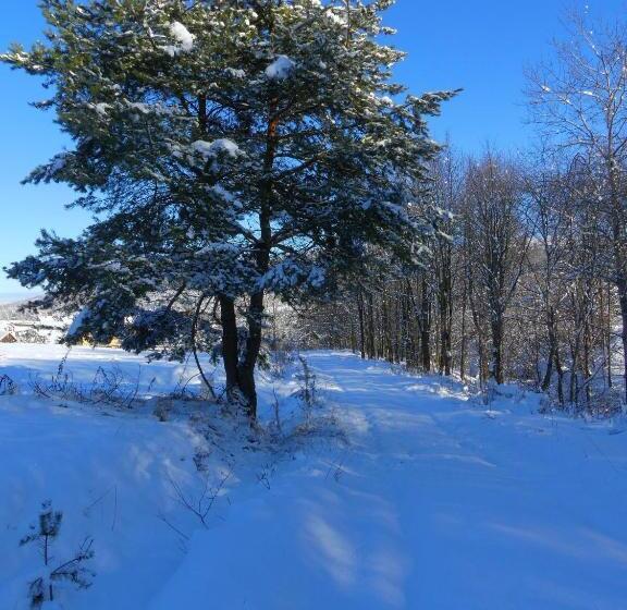 Отель Dom Gościnny Orange