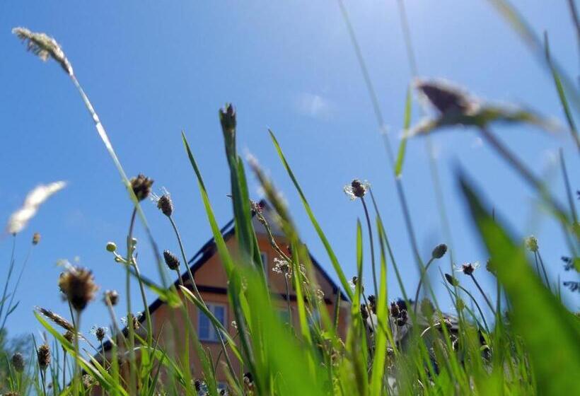 Отель Dom Gościnny Orange